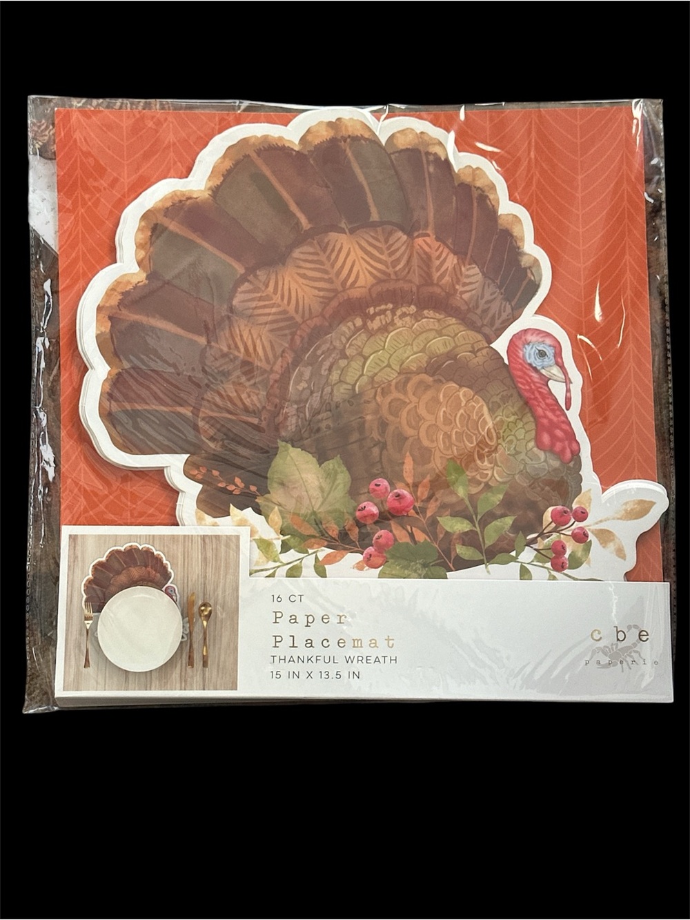 NEW 16 Turkey Paper Placemats 15”x13.5”